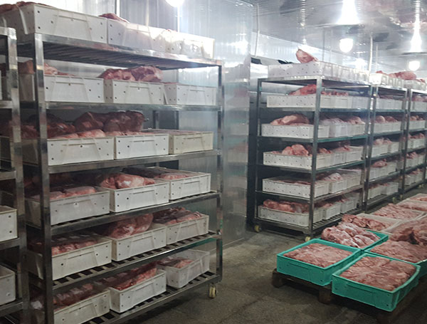 牛肉解凍機系列