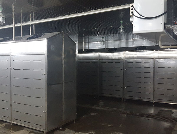 牛肉解凍機系列