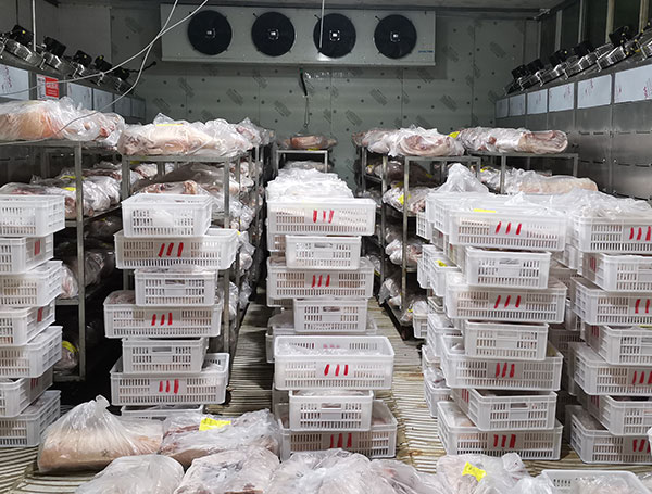 牛肉解凍機系列