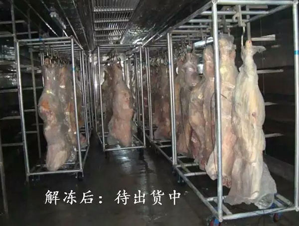 牛肉解凍機系列